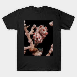 A Pygmy Seahorse in Indonesia T-Shirt